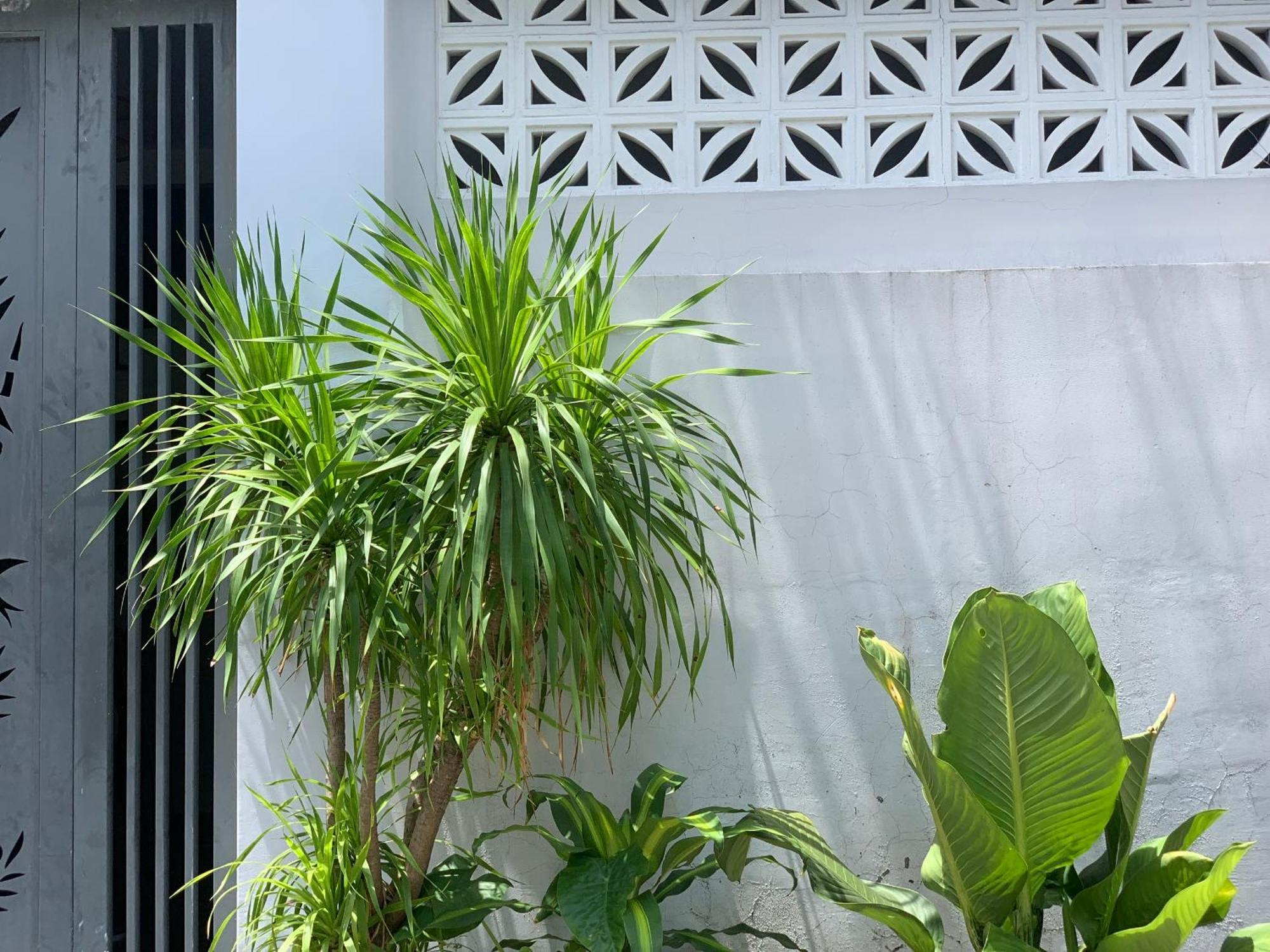 Tina House Apartment Da Nang Luaran gambar