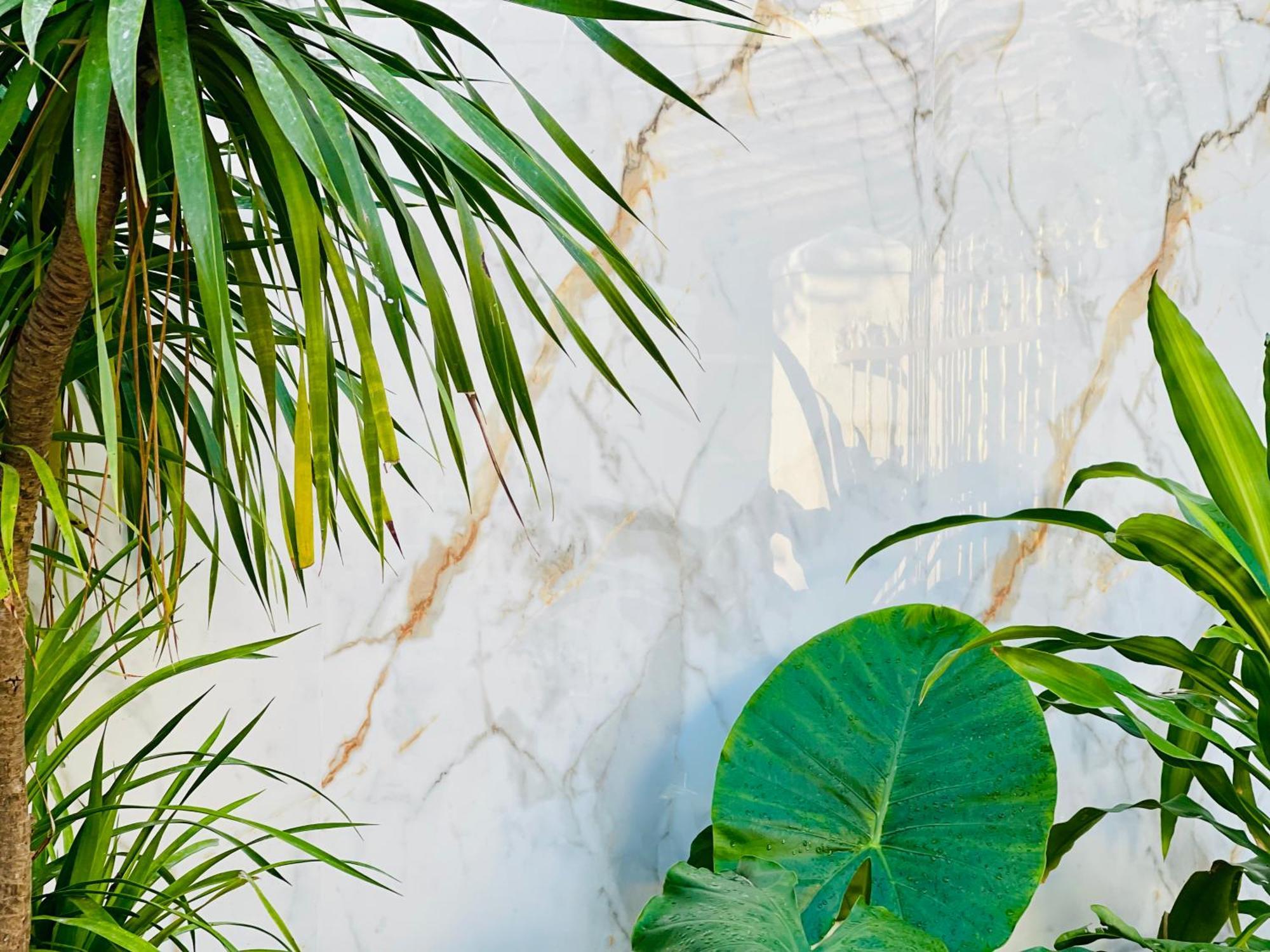 Tina House Apartment Da Nang Luaran gambar
